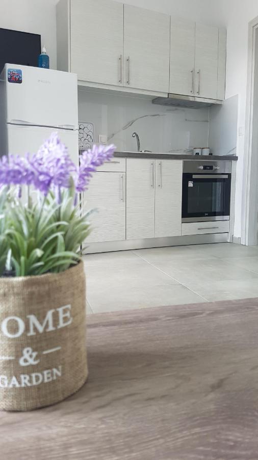 Erika Boutique Apartments Никити Екстериор снимка